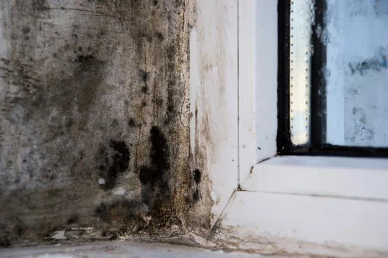 Vocht in huis Vocht in huis